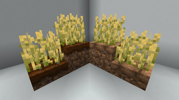 Tilled Trails — screenshot 4