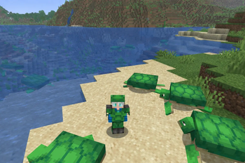 Turtle Armor Expanded Screenshot 1