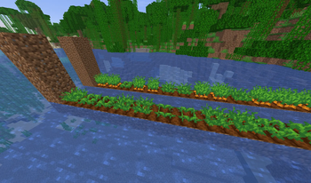 Dirt Dirt farmland