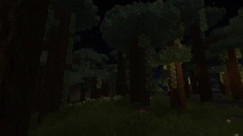 Solaflora Forest at night