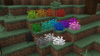 New Bushes!