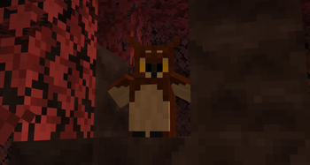 Owls