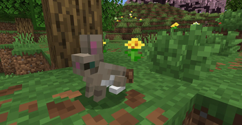 Rabbit and Bushes