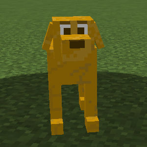 C37-Cute Dogs