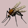 Mosquito Origin - Minecraft Data Pack