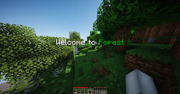 Forest
