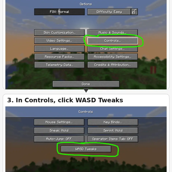How to get in the WASD Tweaks Toggle Settings