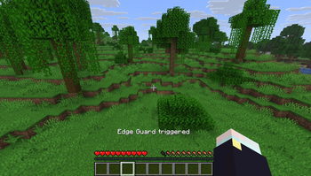 Edge Guard