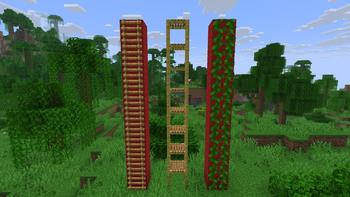 SmartLadder