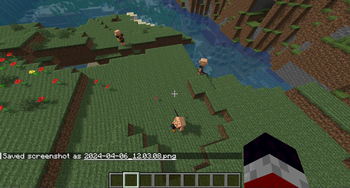 When pigs are killed