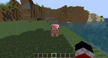 Pig