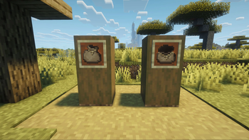 Burlap Sacks