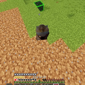 totem pop