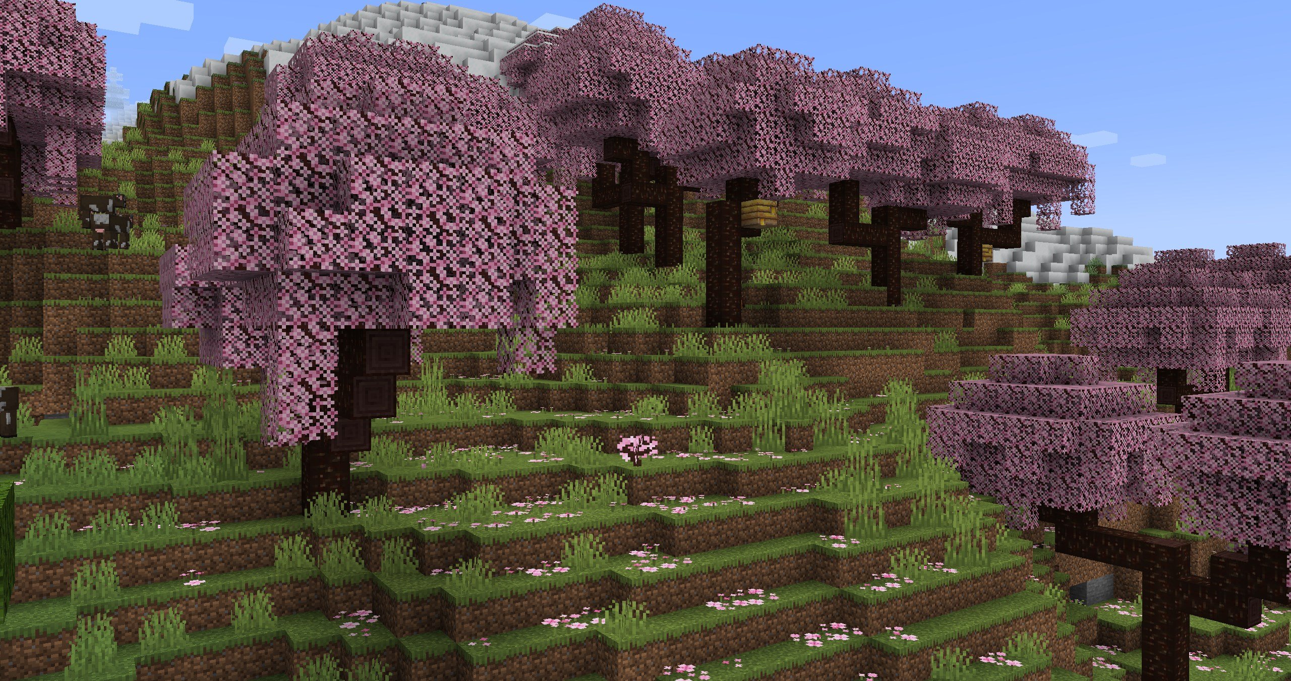 A screenshot of a cherry grove biome with Cherrestria's textures applied.