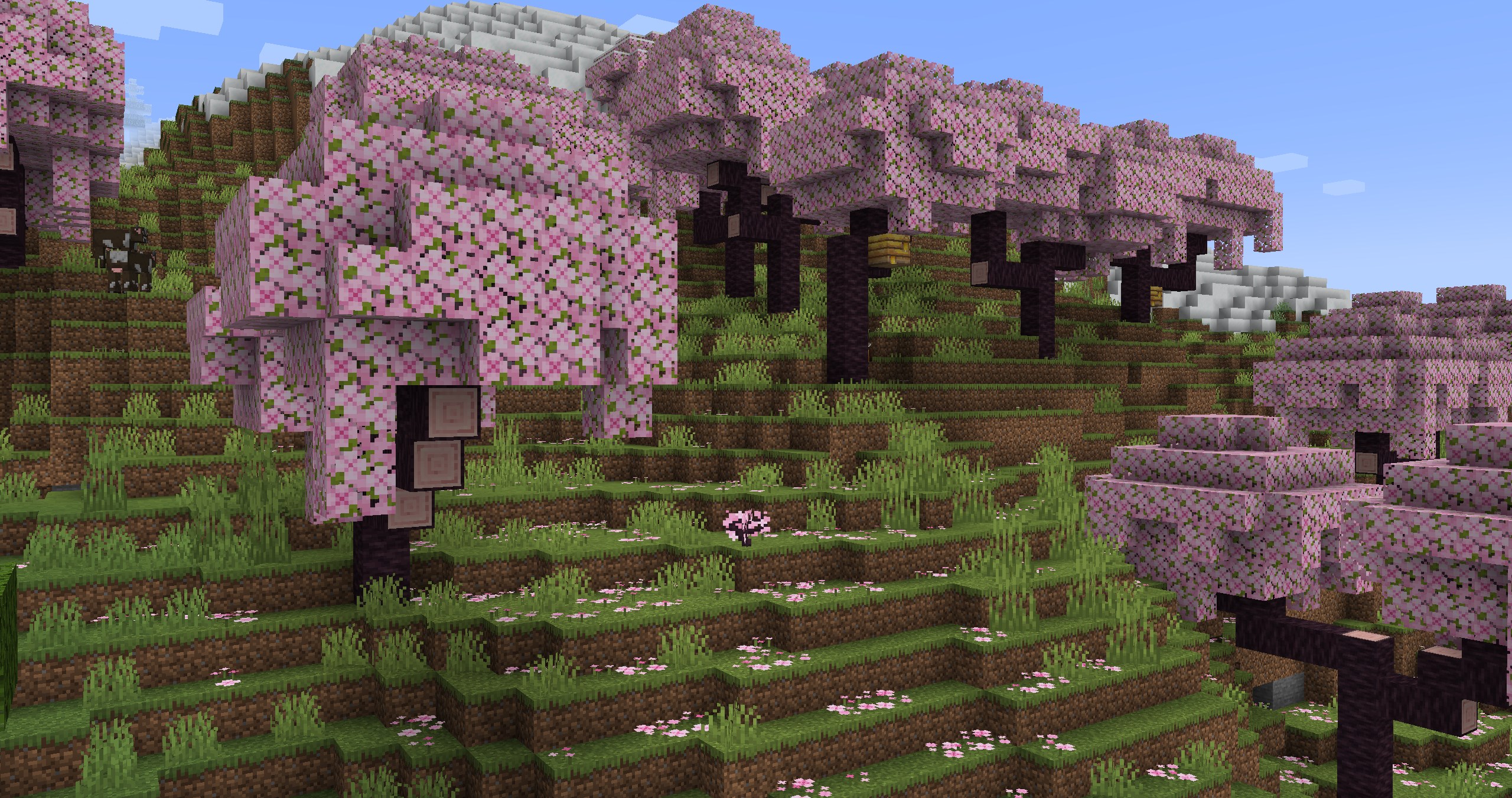 A screenshot of a cherry grove biome with vanilla Minecraft textures.