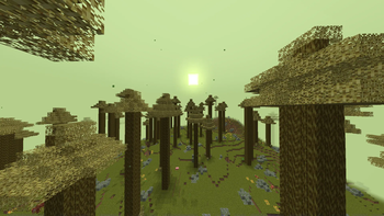 The Pistachio Woods