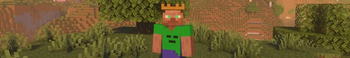 __mc_server_banner__