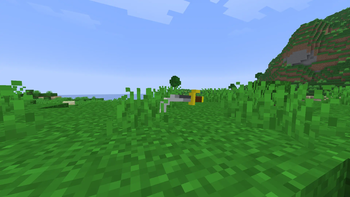 How It looks on the ground