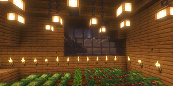 New plants ???