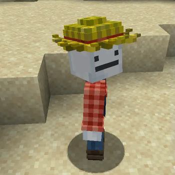 Straw Hat 