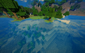 Oak shore