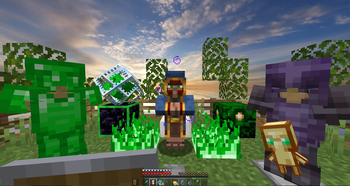 showcase 2