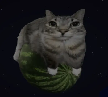 Скриншот: cat on watermelon