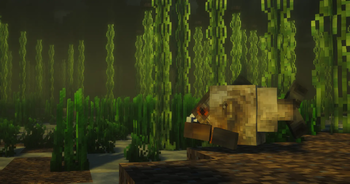 MURKY WATER
