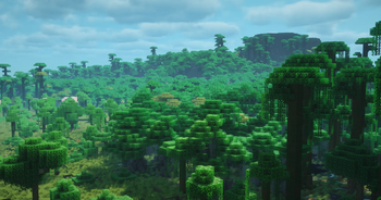 ENDLESS JUNGLE