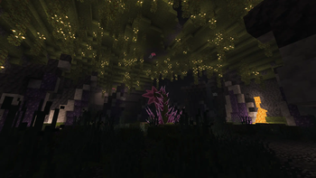 Void Blossom
