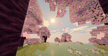 1.0.4 update