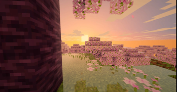 1.0.4 update