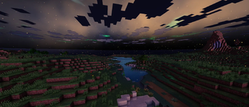 many fireflies