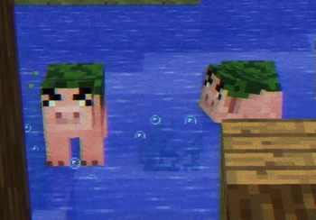 Pig soliders