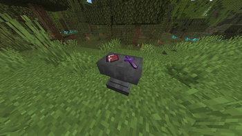 Anvil item rendering