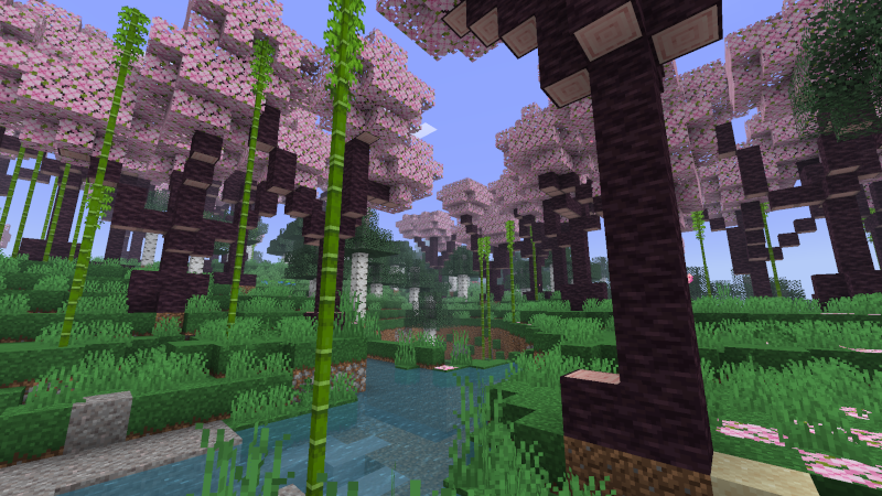 A lovely Blossom Woods biome