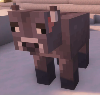 Ashen cow