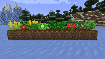 9 Crops and 2 Hidden ones behind!