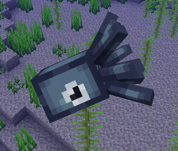 1.1 Baby Squid