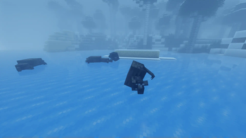 SEALS!!!
