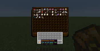 Pouch with items.