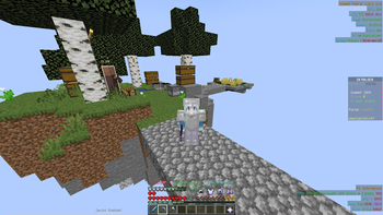 Hypixel Testing