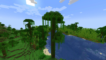 Jungle Trees with Cocoa Pods!