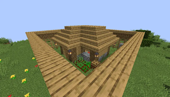 Villager's House