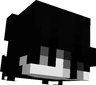 IMST4RR