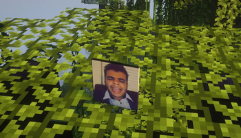 totem oylay