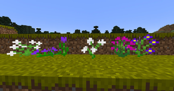 flowers