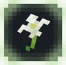 Wild Vanilla - Better plants and flowers