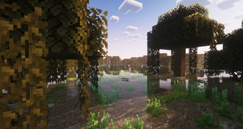 Swamp