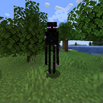An enderman caught not griefing